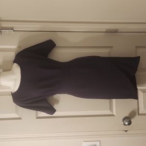 Bibeau plum colored dress